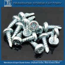 Pan Framing Head Self Drilling Screw